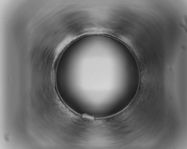 X0000101231472200807071359
