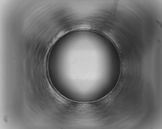 X0000101231475200807071359