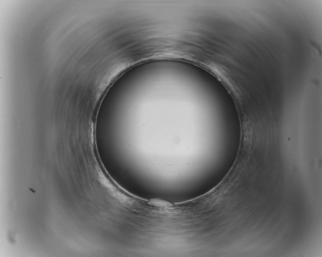 X0000101231476200807071359