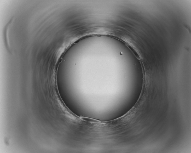 X0000101231477200807071359