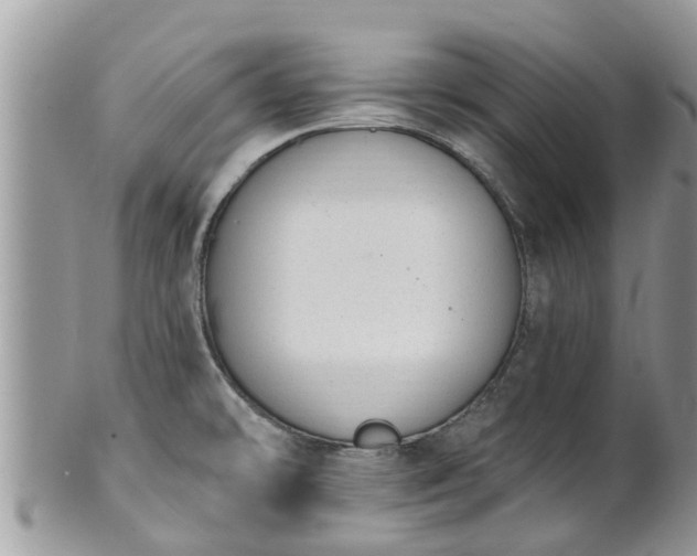 X0000101231478200807071359