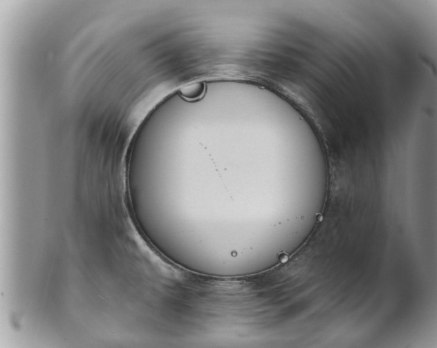 X0000101231479200807071359