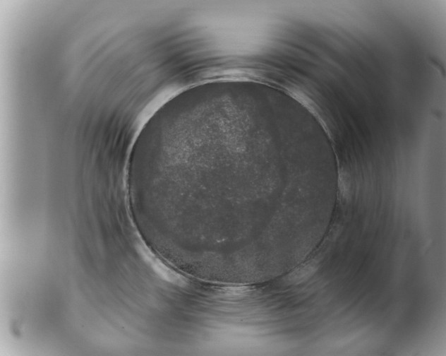 X0000101231482200807071359