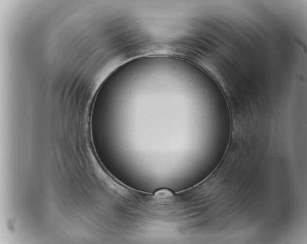 X0000101231483200807071359