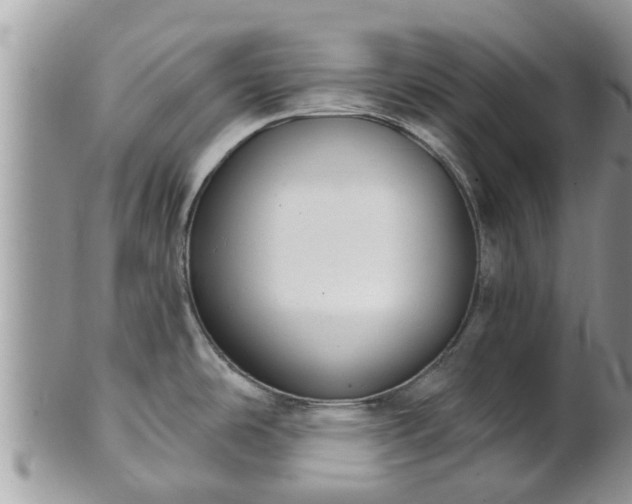 X0000101231486200807071359