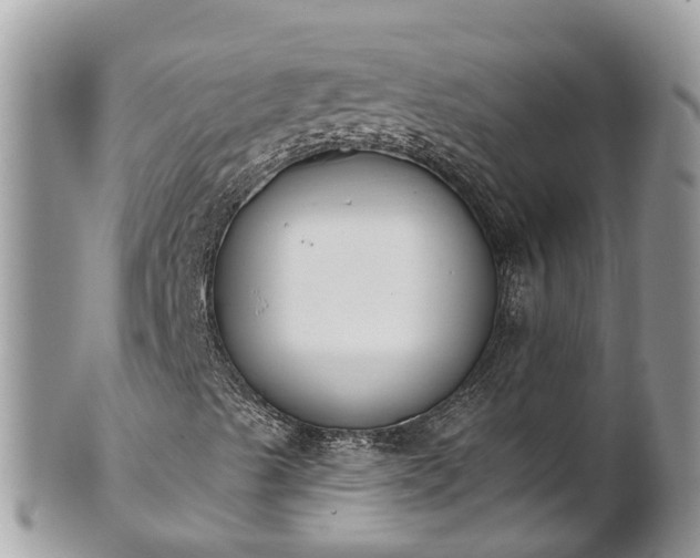 X0000101231489200807071359