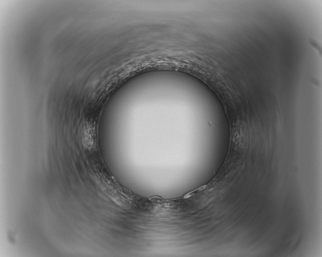 X0000101231490200807071359