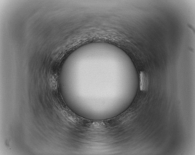 X0000101231491200807071359