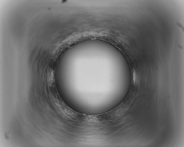 X0000101231492200807071359