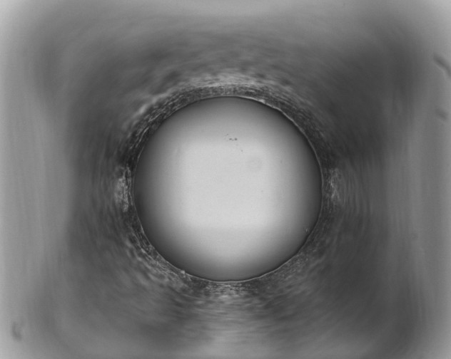 X0000101231493200807071359