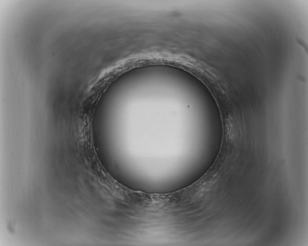 X0000101231494200807071359