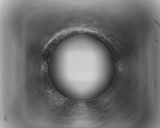 X0000101231495200807071359