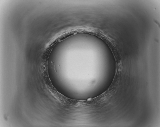 X0000101231496200807071359