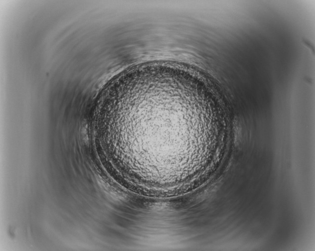 X0000101231497200807071359