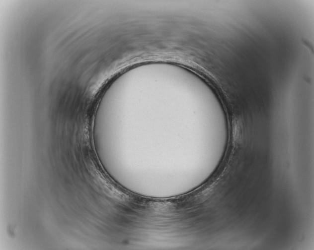X0000101231498200807071359