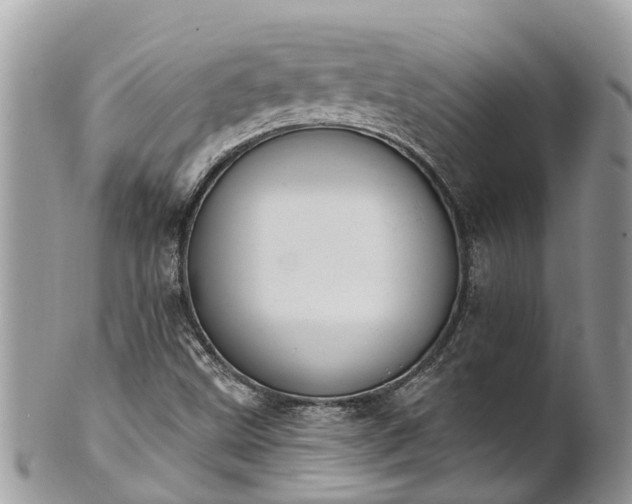 X0000101231499200807071359