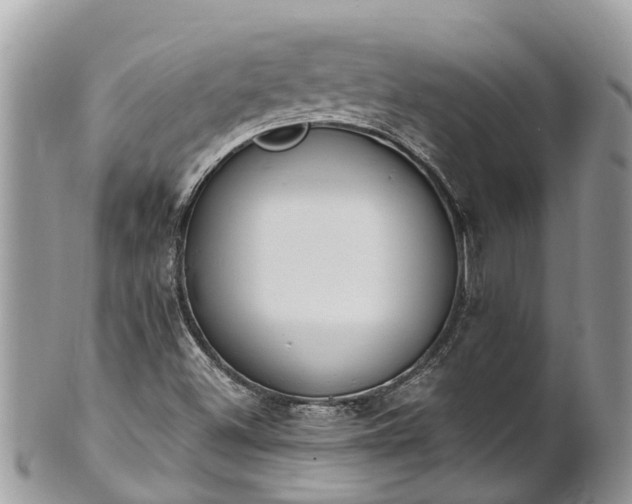 X0000101231500200807071359