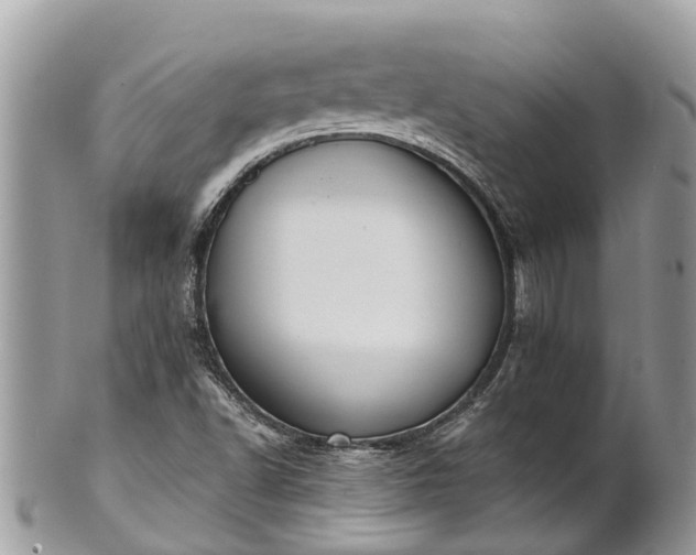X0000101231502200807071359