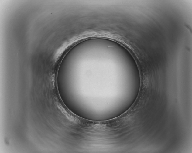 X0000101231503200807071359