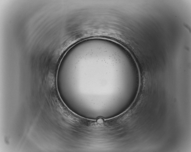 X0000101231505200807071359