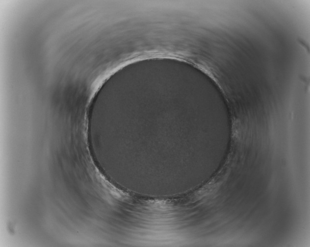 X0000101231508200807071359