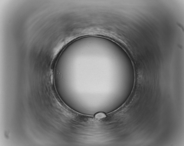 X0000101231509200807071359