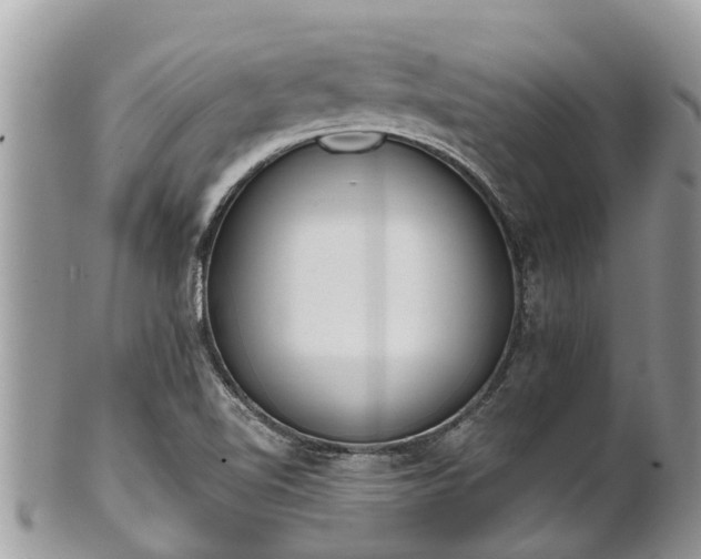 X0000101231510200807071359