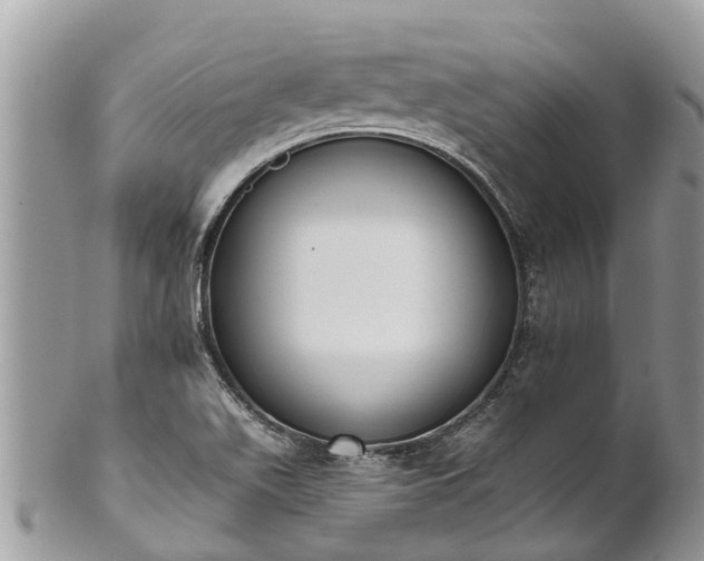 X0000101231511200807071359