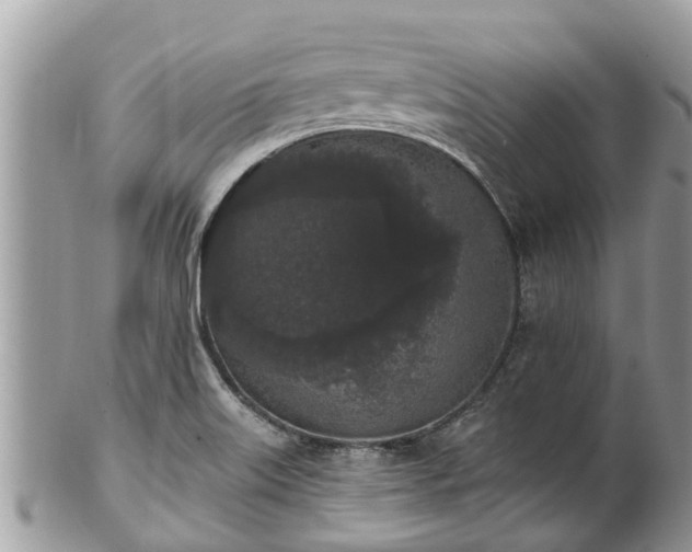 X0000101231515200807071359