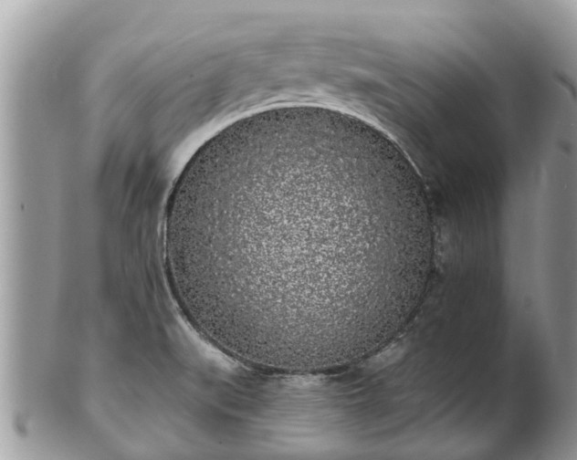 X0000101231519200807071359