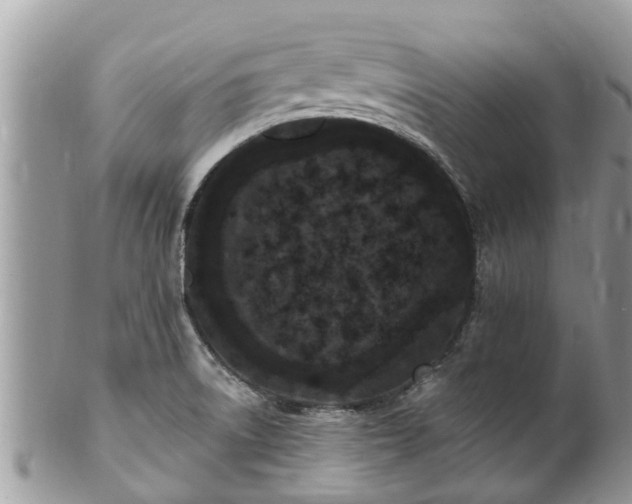 X0000101231522200807071359