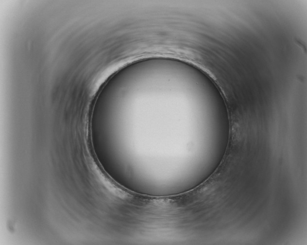 X0000101231523200807071359