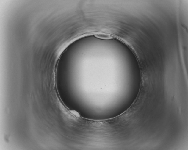 X0000101231524200807071359