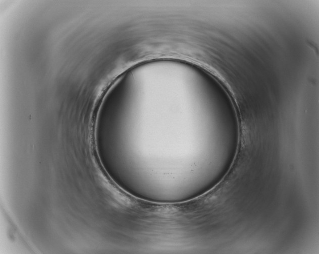 X0000101231525200807071359