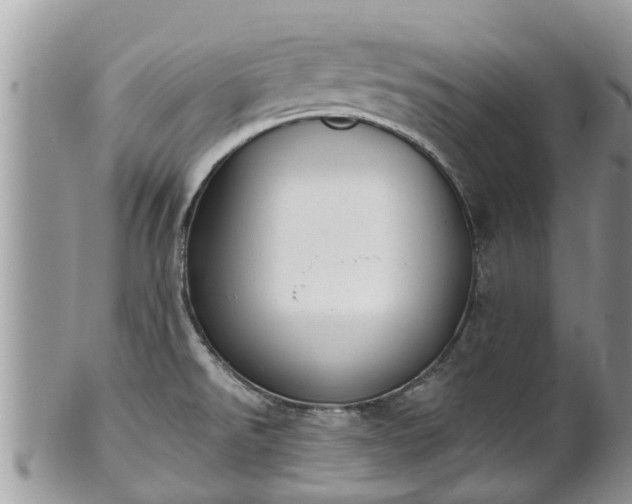 X0000101231526200807071359