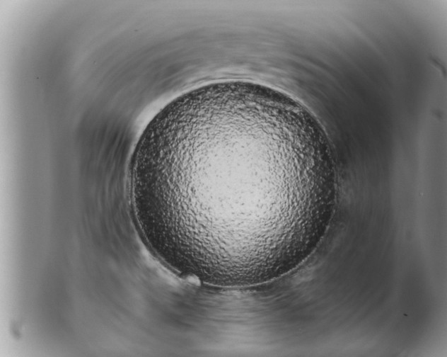 X0000101231527200807071359