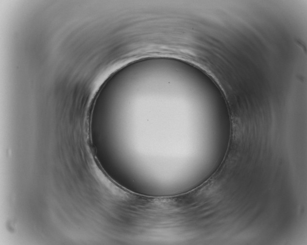 X0000101231531200807071359