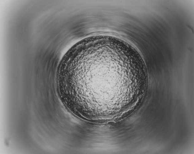X0000101231533200807071359