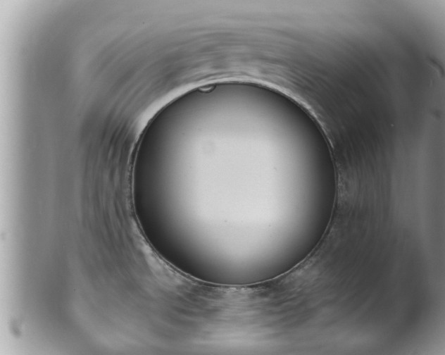 X0000101231534200807071359