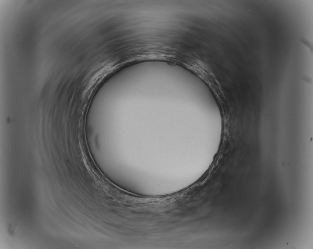 X0000101230001200807111131