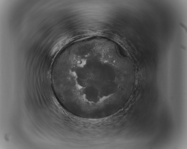 X0000101230002200807111131