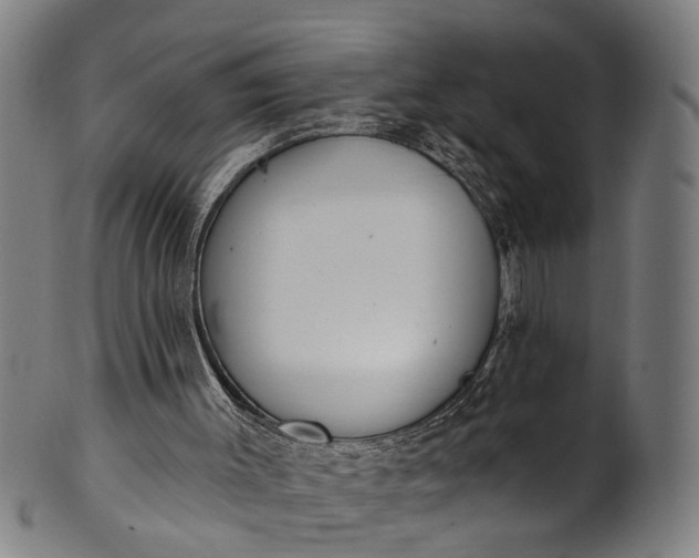 X0000101230003200807111131