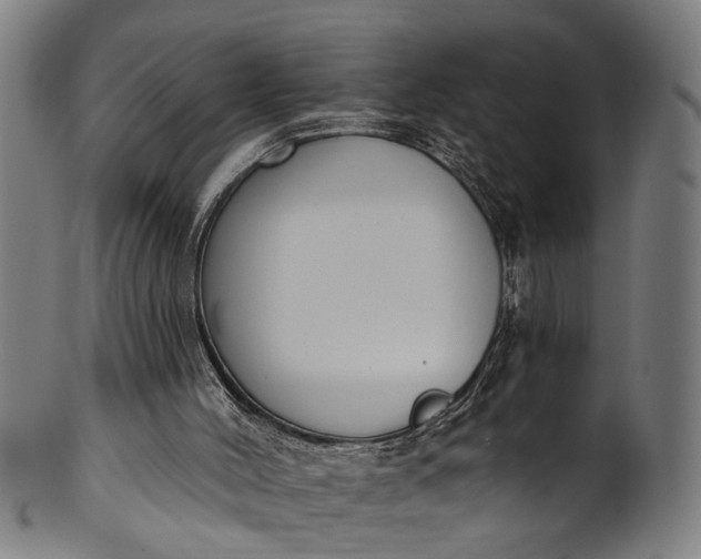 X0000101230004200807111131