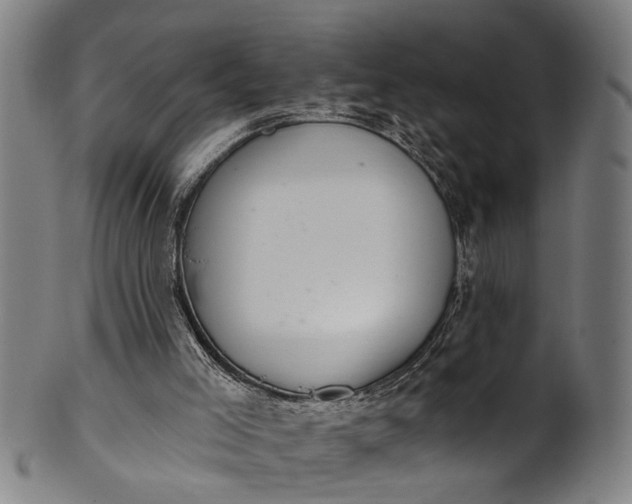 X0000101230005200807111131