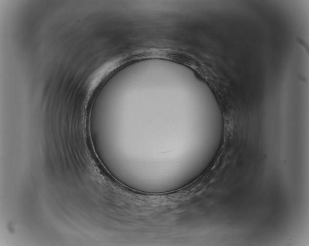 X0000101230006200807111131