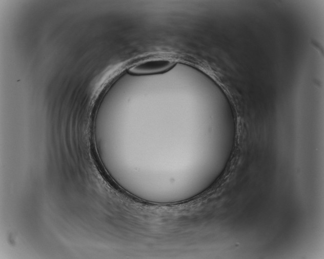 X0000101230007200807111131