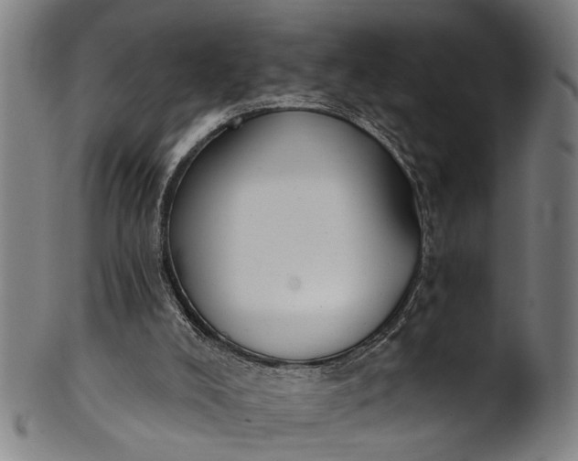 X0000101230008200807111131