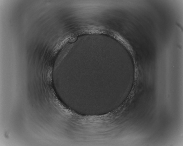 X0000101230009200807111131