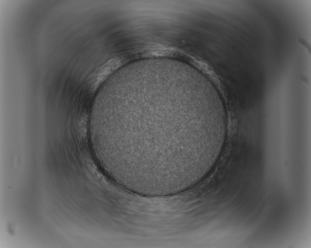 X0000101230010200807111131