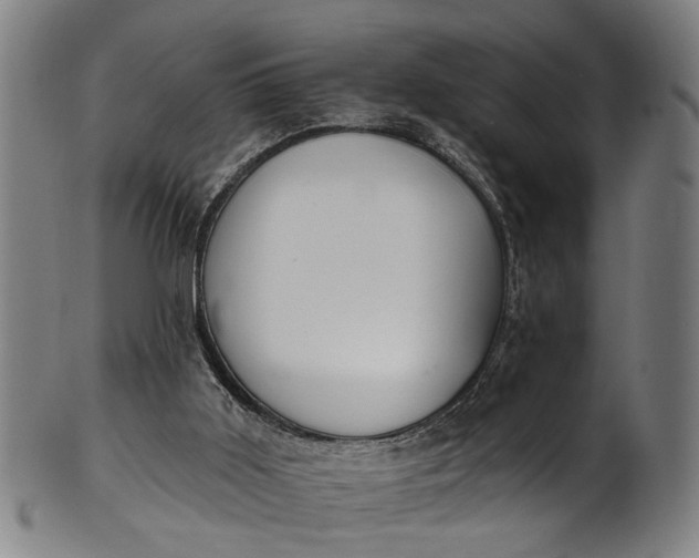 X0000101230011200807111131